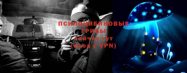 МДПВ Гусев