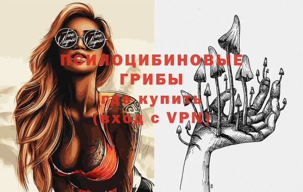 COCAINE Гусиноозёрск