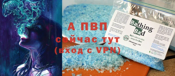 МДПВ Гусев