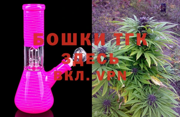 МДПВ Гусев