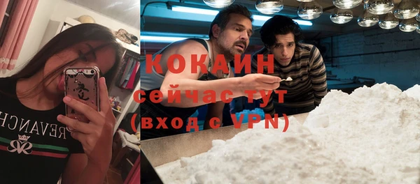 МДПВ Гусев
