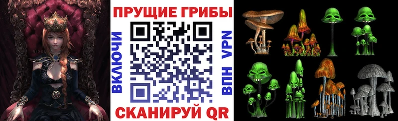 Купить закладки  Чегем  Псилоцибиновые грибы ЛСД 